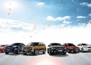 中国人保携手海盐康达汽车线上团购会