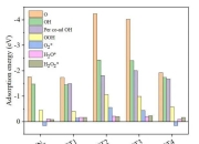千叶大学使用咖啡因来增强ORR反应 以提高燃料电池效率