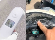 欧美放弃电动化，我们被忽悠了？