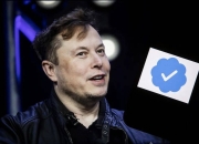 【国际快讯】马斯克为部分“遣散费过低”道歉；欧洲3月新车销量下滑2.8%；博世2023财年销售额达916亿欧元