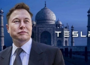 曝马斯克曾希望特斯拉裁员20%