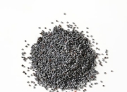 Seeds丨苇渡科技完成1.1亿美元B轮融资