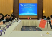 理想回应出海传闻：未与乌兹别克斯坦销售签约