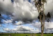 人保车险|车险理赔的流程是怎样的？需要注意哪些事项？